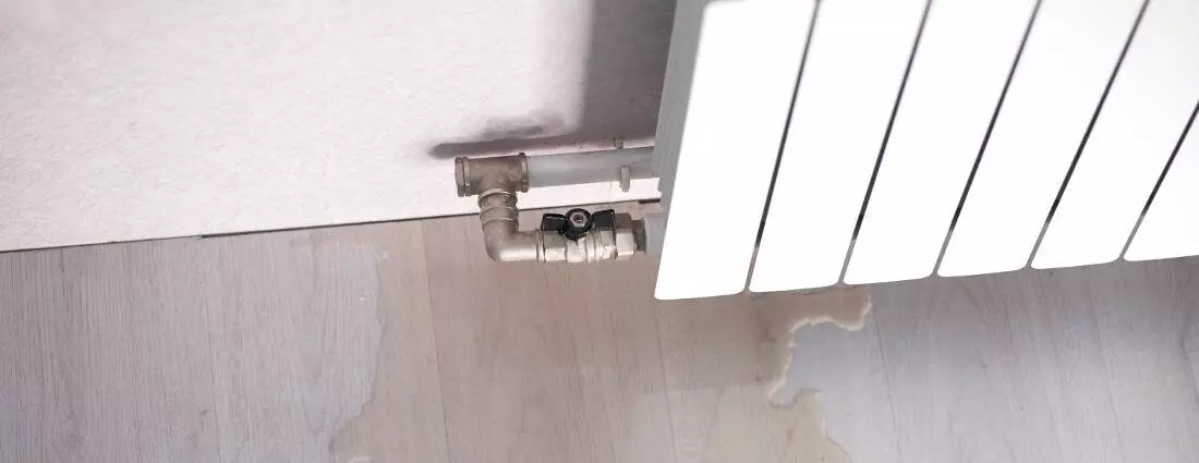 Lekdetectie Bergen